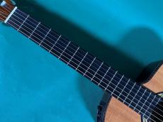 Takamine 300 CUSTOM_8
