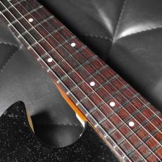 Silvertone 1964 Model 1449 Amp-in-Case_6