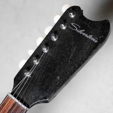 Silvertone 1964 Model 1449 Amp-in-Case_8