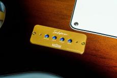 KarDiaN IODOFORM "GOLD"《キャラクターモジュール(オンボードプリアンプ) 》【オンラインストア限定】_5