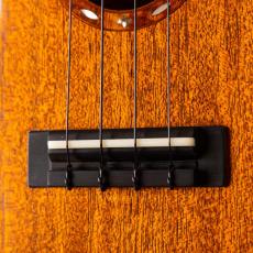 W.F.G.C. Soprano-M-Jewel_3