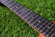 Millar SLPA-E Proto Soprano Longneck【S/N 022】_7