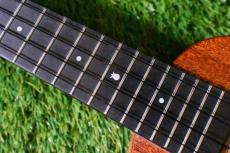 Millar SLPA-E Proto Soprano Longneck【S/N 022】_8