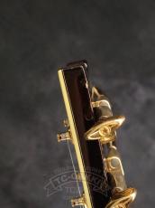 Ibanez JSM100_12