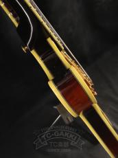 Ibanez JSM100_17