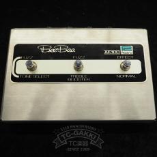 Roland AF-100 BeeBaa_4