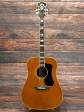 Guild 1981 D-55 Natural_2