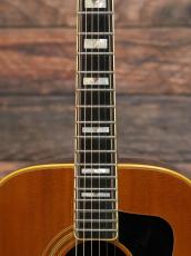 Guild 1981 D-55 Natural_5