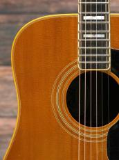 Guild 1981 D-55 Natural_6