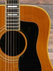 Guild 1981 D-55 Natural_7
