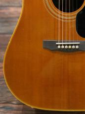 Guild 1981 D-55 Natural_8