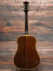 Guild 1981 D-55 Natural_10