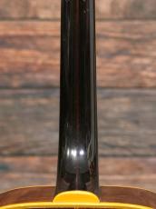 Guild 1981 D-55 Natural_13