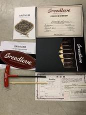 Breedlove Masterclass Concerto E Adirondack Spruce/Cocobolo L.R Baggs Anthem ピックアップ付き!_6