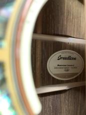 Breedlove Masterclass Concerto E Adirondack Spruce/Cocobolo L.R Baggs Anthem ピックアップ付き!_14