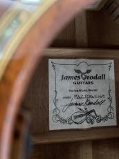James Goodall Mh CJC Mh 5269 オールマホガニー!L.R Baggs Lyric ピックアップ付き!_14