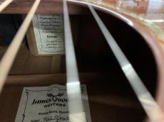 James Goodall Mh CJC Mh 5269 オールマホガニー!L.R Baggs Lyric ピックアップ付き!_15