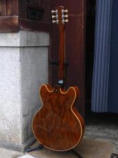 Gibson '73 ES-150D_2