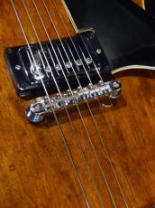 Gibson '73 ES-150D_8