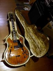 Gibson '73 ES-150D_14