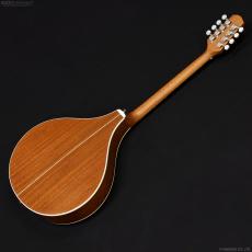 K.Yairi VINCENT VZ-30 NL Irish Bouzouki アイリッシュ・ブズーキ [L.R.Baggs Element VTC ピックアップ搭載]_9