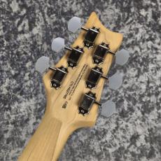 Paul Reed Smith [PRS] SE SILVER SKY ~Moon White~ #CTI H027765 [3.39kg][2025年製]_9