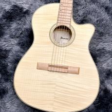 Ibanez GA39TCE-NTF (Natural Flat) 【特価】【SPOTモデル】【エレガット】