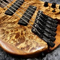 Ibanez EHB1506MS-ABL (Antique Brown Stained Low Gloss) 【特価】【SPOTモデル】【ヘッドレス】_3