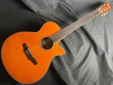 Ibanez AEG10NII_2