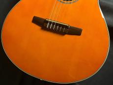 Ibanez AEG10NII_3