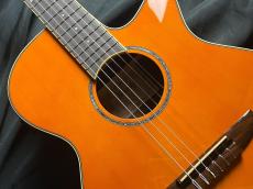 Ibanez AEG10NII_4
