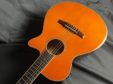 Ibanez AEG10NII_5