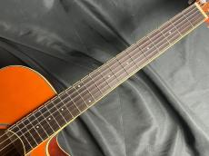 Ibanez AEG10NII_6