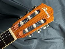 Ibanez AEG10NII_7
