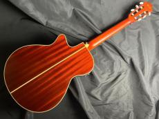 Ibanez AEG10NII_8