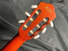 Ibanez AEG10NII_11