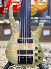 Knooren Fretless 6st【委託販売品】
