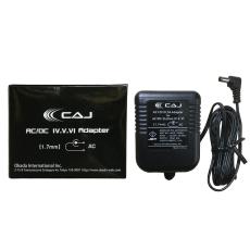 CUSTOM AUDIO JAPAN(CAJ) AC/DC Station VI_4