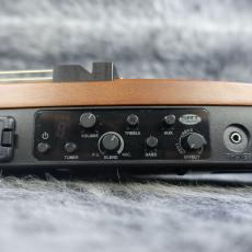 YAMAHA SLG200S NT_9