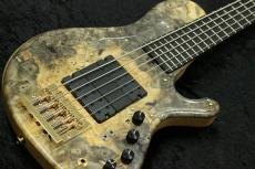 saitias guitars Aquarius 5 CTM Buckeye Burl /Natural Satin【4.00kg】【Euphoreal製PU×Humpback製プリアンプ】_2