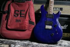 Paul Reed Smith [PRS] SE Custom24 2013