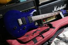 Paul Reed Smith [PRS] SE Custom24 2013_2