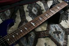 Paul Reed Smith [PRS] SE Custom24 2013_4
