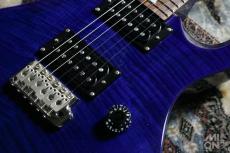 Paul Reed Smith [PRS] SE Custom24 2013_5