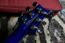 Paul Reed Smith [PRS] SE Custom24 2013_6