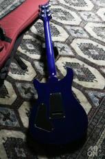 Paul Reed Smith [PRS] SE Custom24 2013_8