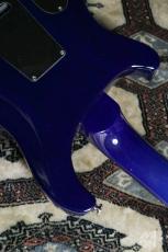 Paul Reed Smith [PRS] SE Custom24 2013_9