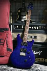 Paul Reed Smith [PRS] SE Custom24 2013_10