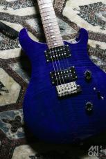 Paul Reed Smith [PRS] SE Custom24 2013_11