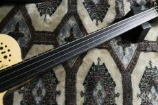 Godin A4 Ultra Fretless SA 2014_4